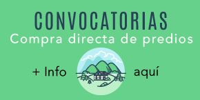 Convocatorias