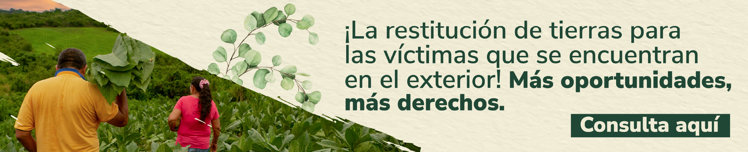 Restitución de víctimas