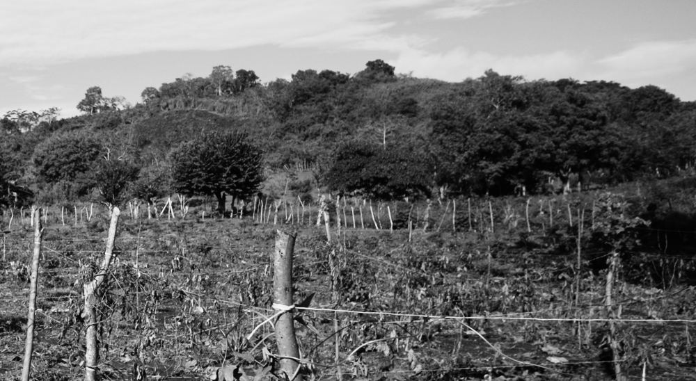 UNIDAD DE RESTITUCIÓN DE TIERRAS LAMENTA EL ASESINATO DE ARLINSON FIGUEROA, INTEGRANTE DEL RESGUARDO INDÍGENA AGUA NEGRA EN CAQUETÁ 