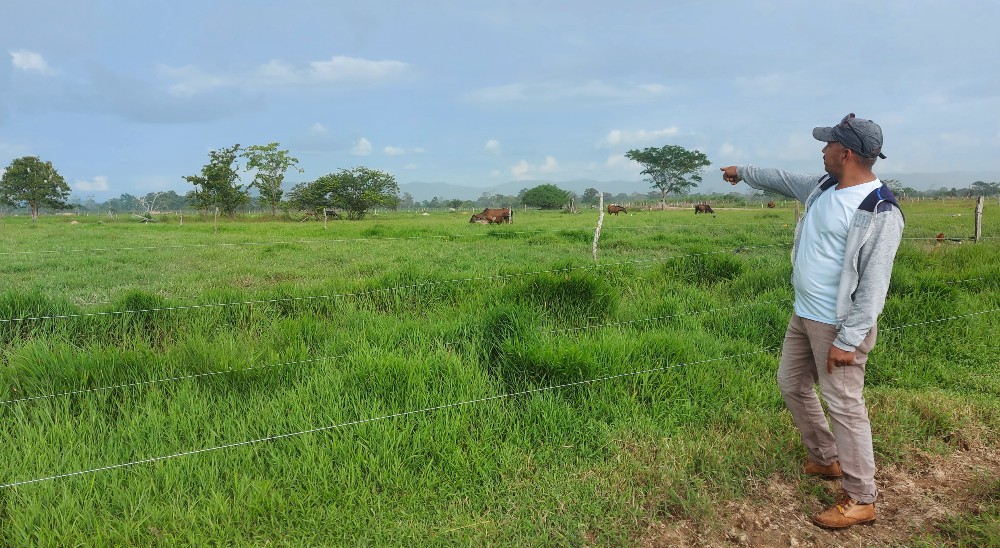  nullDictan primeras sentencias de restitución de tierras en Montelíbano y Puerto Escondido, Córdoba 