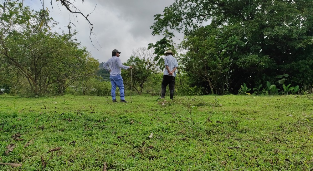 Unidad de Restitución de Tierras responderá al 100% de las solicitudes en San Juan de Urabá