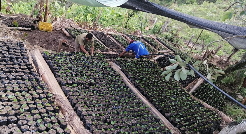 Beneficiaria de restitución de tierras en Norte de Santander se convierte en titular de sentencia por fallecimiento de su esposo