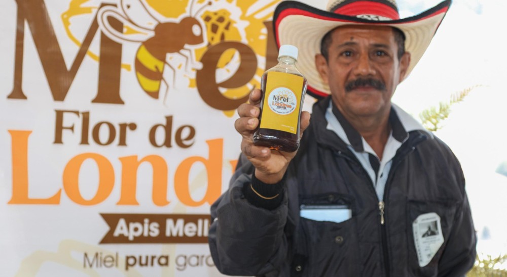 Miel Flor de Londres, nuevo ‘Fruto de la Restitución’ creado por familias víctimas de los paramilitares en Montería.