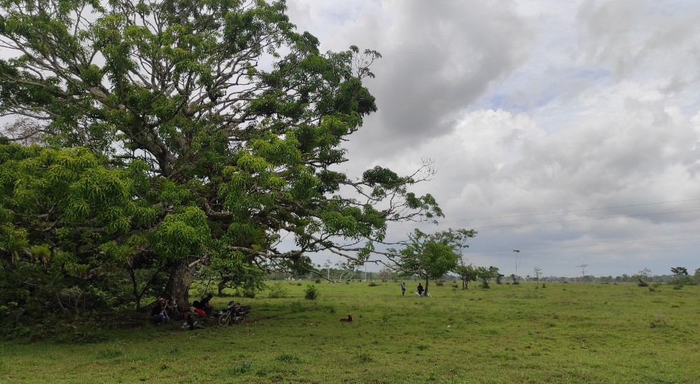 Microfocalizada nueva zona en Turbo (Antioquia) para iniciar procesos de restitución de tierras 