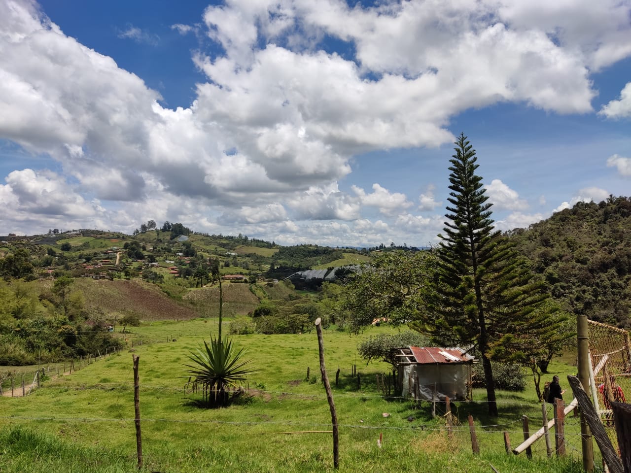  nullEn cuatro municipios del oriente antioqueño se atenderán nuevas solicitudes de restitución de tierras 