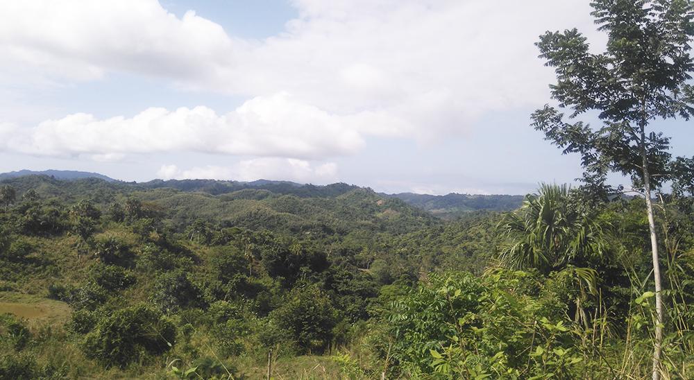 La Unidad de Restitución de Tierras lamenta el fallecimiento de Luis Fernando Arias Arias, indígena del pueblo Kankuamo y Consejero Mayor de la ONIC 