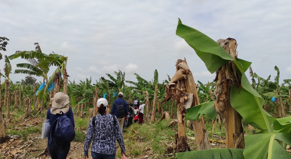 En Urabá una víctima restituida logra acuerdo para evitar desalojo de más de 600 familias