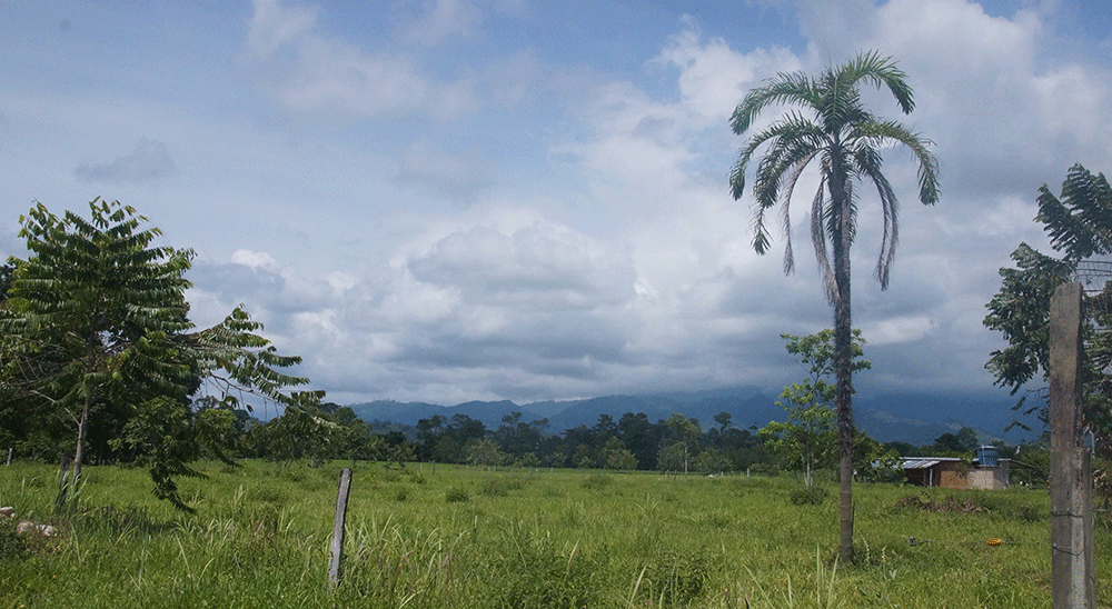 Familia víctima de los paramilitares recuperó sus tierras ubicadas en San Vicente de Chucurí