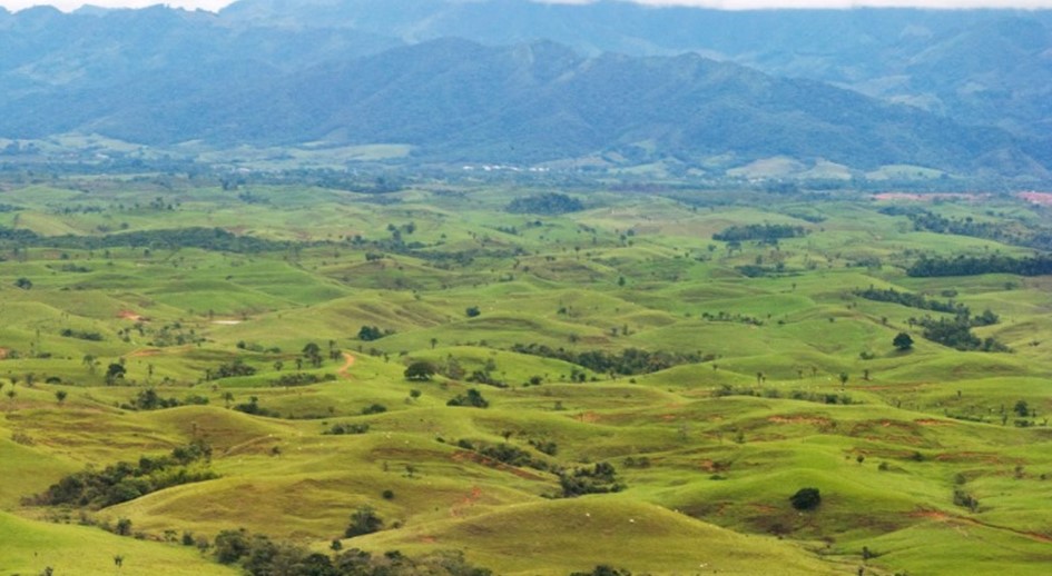 MPTF abre convocatoria para financiar a quien impulse la restitución en zonas de especial protección ambiental