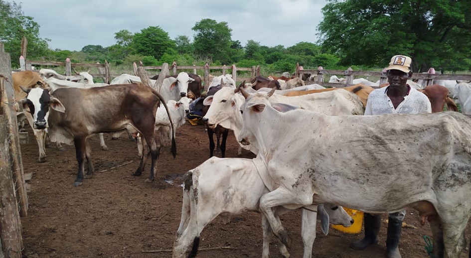 La URT ha restituido 46.374 hectáreas en Magdalena y Atlántico durante la vigencia de la Ley 1448 de 2011
