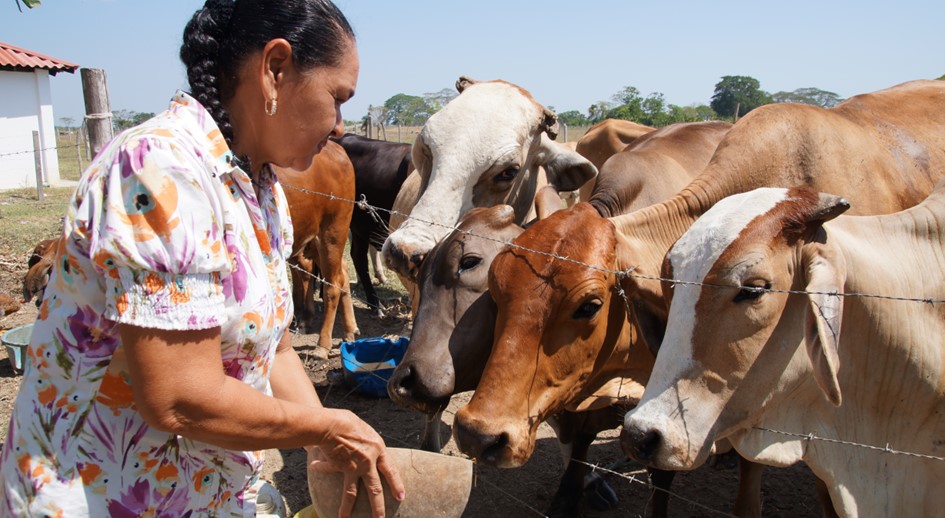 5.564 víctimas del conflicto en Córdoba han recuperado sus predios gracias a la restitución de tierras