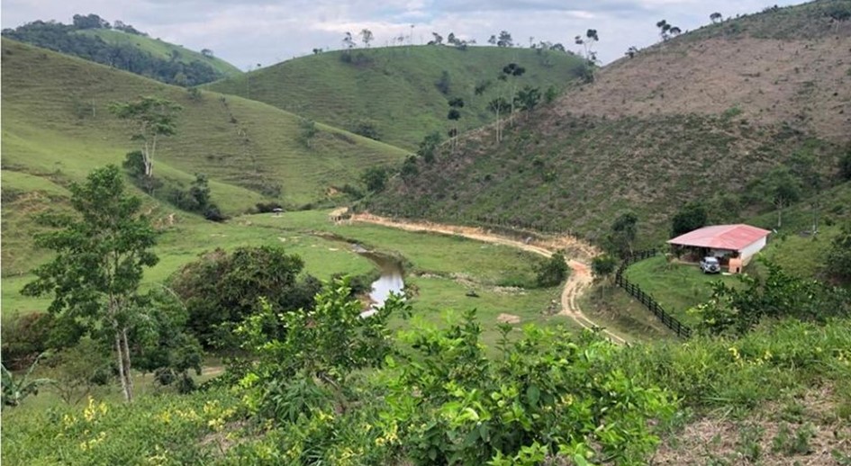Tribunal Superior de Cúcuta ordena restituir predio por el que construyeron carretera en Maceo (Antioquia) 