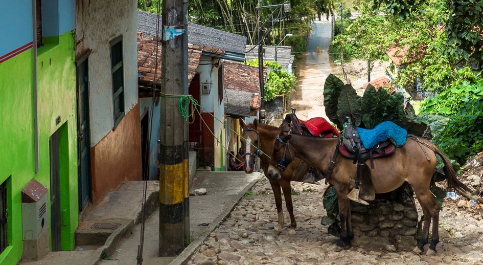 La resiliencia de los hermanos Alzate, les permitió recuperar su predio en San Rafael, Antioquia