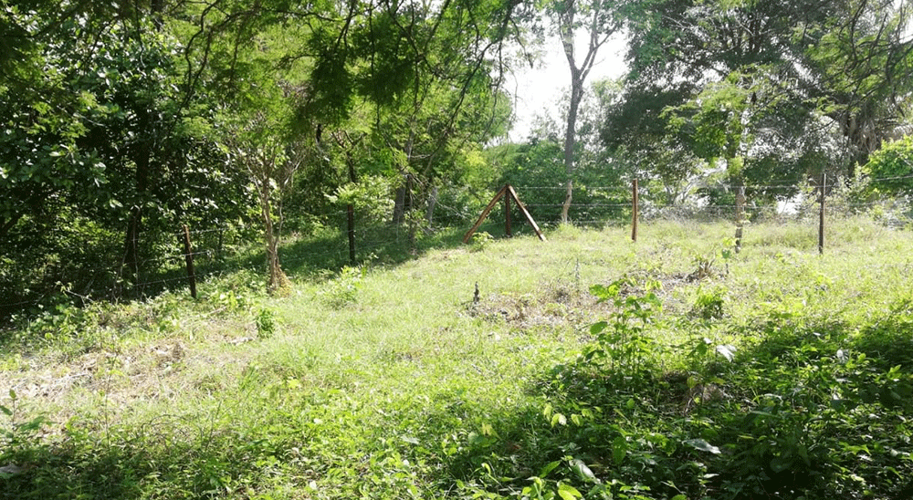 Unidad de Restitución de Tierras (URT) entrega predio en Aguachica (Cesar), a familia víctima de la violencia 