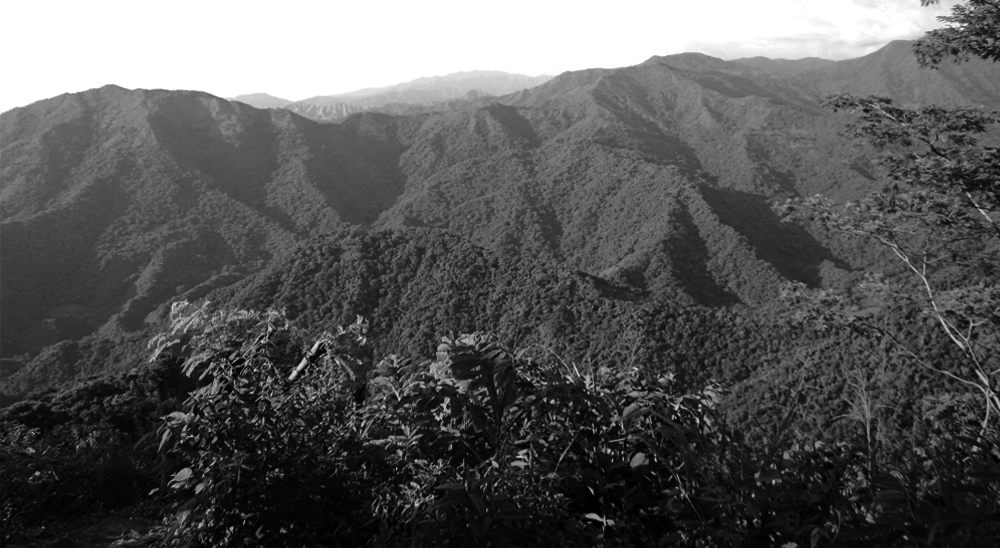 Unidad de Restitución de Tierras lamenta y rechaza el asesinato del hijo de Silver Polo, líder campesino de la vereda La Secreta en Ciénaga Magdalena 