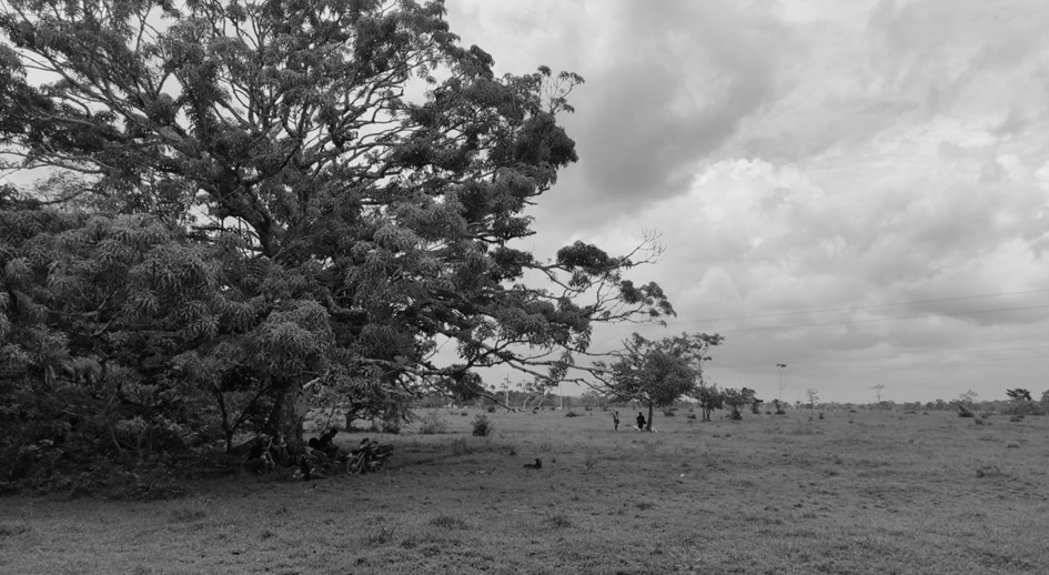 Comunicado a la opinión pública