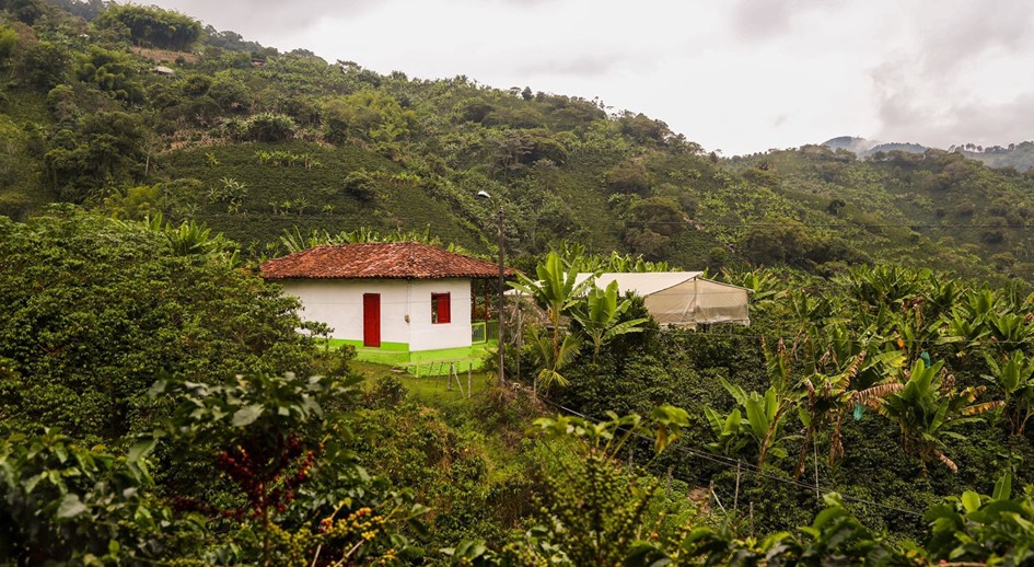 A mujer víctima de la masacre de La Gabarra le fue restituida la casa de donde fue desplazada por grupos paramilitares