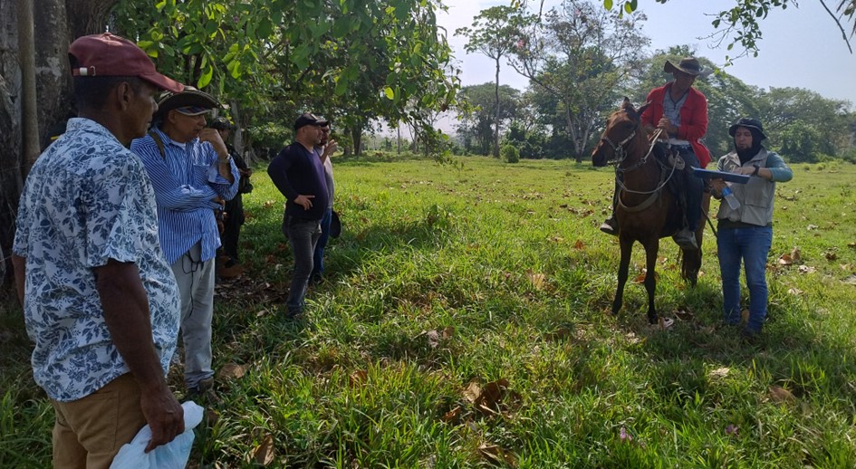Fuerza Pública, la URT y juzgado de restitución entregan predio a familia víctima de los paramilitares en Ayapel (Córdoba)