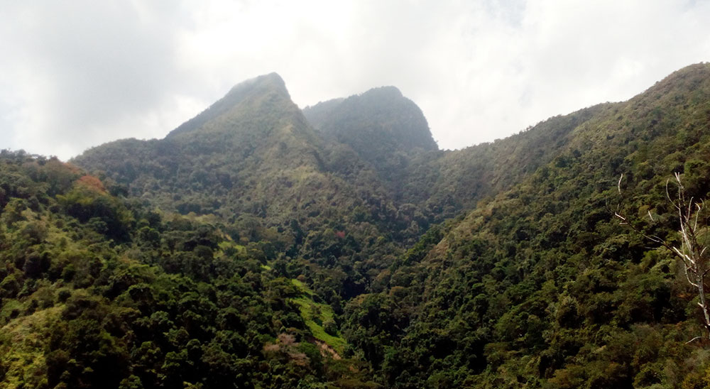 Tribunal de Cúcuta falló primera sentencia que beneficia a una familia de El Peñón (Santander) 