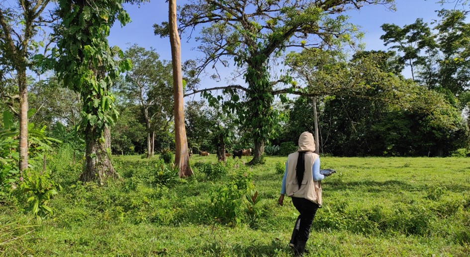 A 25 veredas de San Pedro de Urabá llegará la URT para identificar predios solicitados en restitución