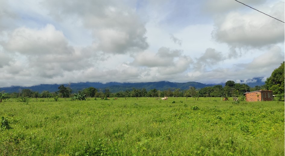 En Apartadó, se establece un espacio destinado a fortalecer el conocimiento sobre los derechos de las mujeres con fallos favorables de restitución de tierras