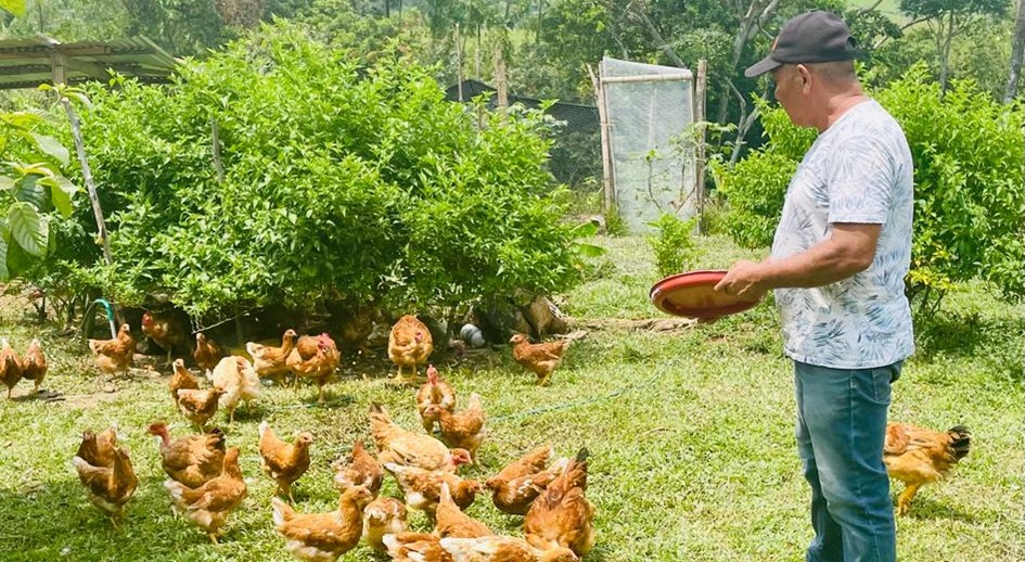 URT ha garantizado el retorno al campo y la implementación de proyectos productivos a 102 familias campesinas del Meta