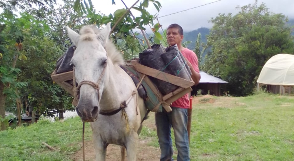 88 familias restituidas del Meta han recibido $3.000 millones para desarrollar proyectos productivos 