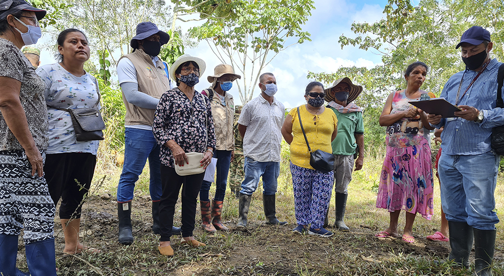 En el Urabá antioqueño y chocoano dos familias regresaron a sus predios en medio de la pandemia 