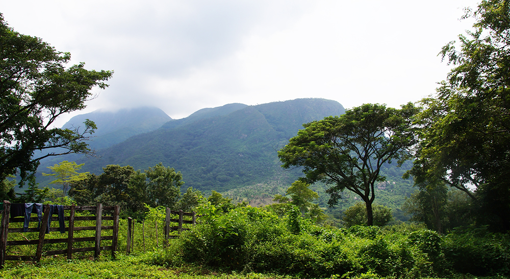 En Subcomité de Restitución de Tierras la Dirección Territorial de Tolima presentó balance de gestión 