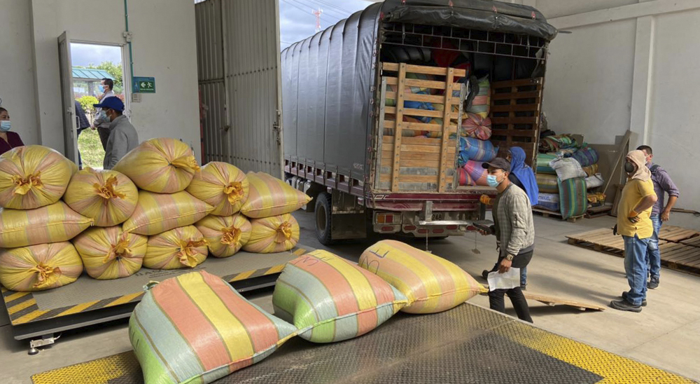 Familias restituidas de Nariño consolidan exportación de café hacia mercados de Estados Unidos y Europa 