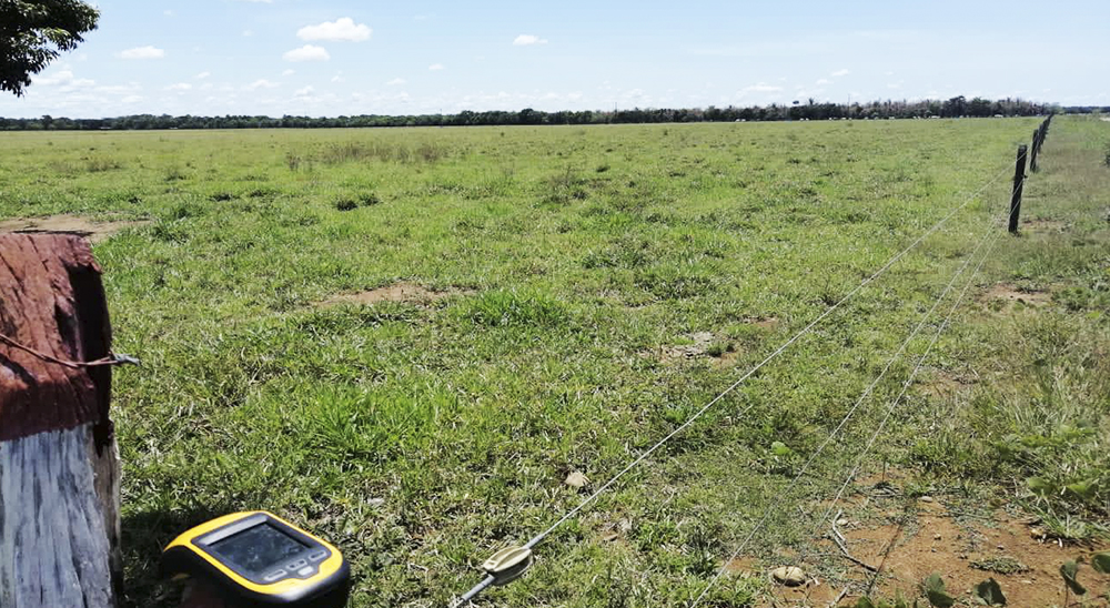 Justicia ordena restituir 18 hectáreas de tierra a familia víctima de paramilitares en San Martín de los Llanos, Meta