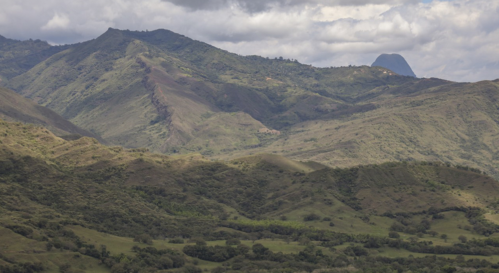 Con el respaldo de la Fuerza Pública la Unidad de Restitución de Tierras amplió, en el 2021, sus zonas de atención en el departamento del Tolima 