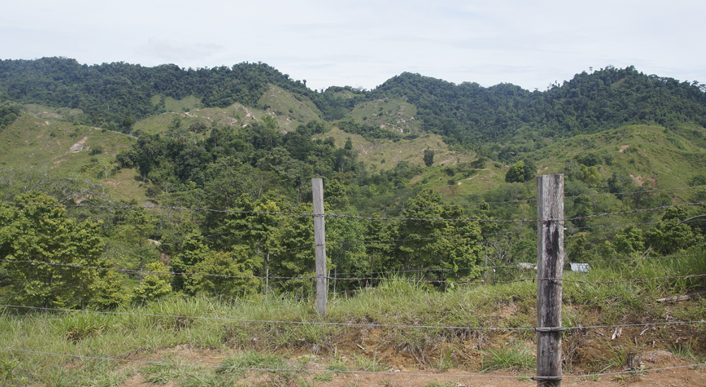 Se cumple diligencia judicial de entrega material de predios ubicados en El Carmen de Chucurí 