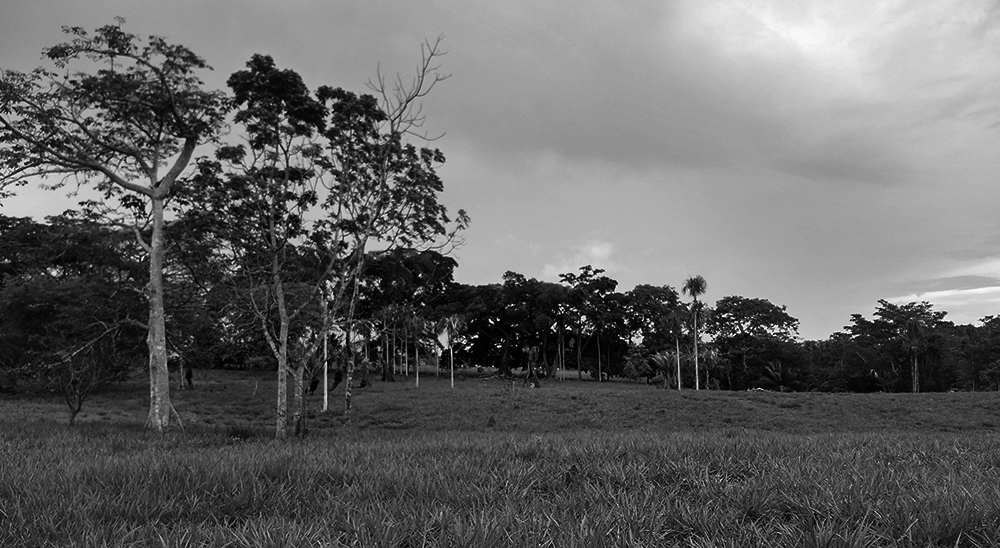 COMUNICADO A LA OPINIÓN PÚBLICA 