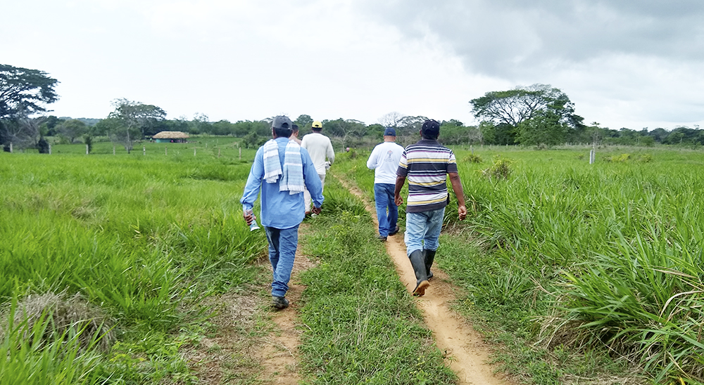 Unidad de Restitución de Tierras abre convocatoria para compra de predios en Valencia, Córdoba 