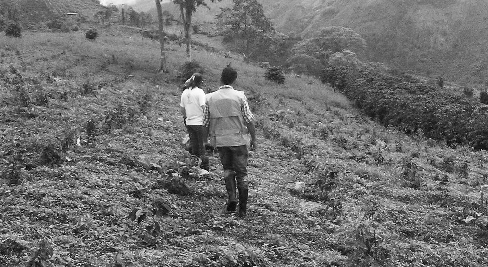 LLAMADO A LA CIUDADANÍA, EN ESPECIAL A LA DE MESETAS Y URIBE, META PARA QUE APOYEN LA BÚSQUEDA DE LAS CUATRO PERSONAS DESAPARECIDAS DESDE HACE UNA SEMANA EN ESTA ZONA DEL PAÍS 