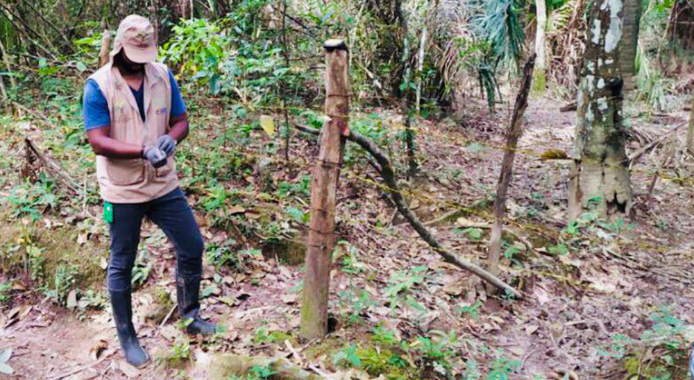 Justicia ordena compensar a tres hermanos que quedaron huérfanos por la violencia y fueron despojados de sus predios 