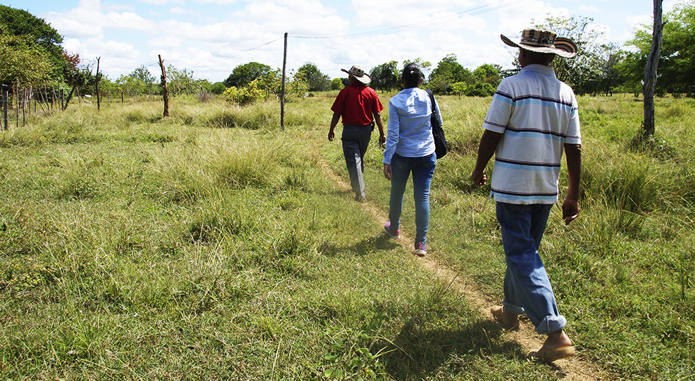 Unidad de Restitución adquirió predios para atención a segundos ocupantes en Córdoba 