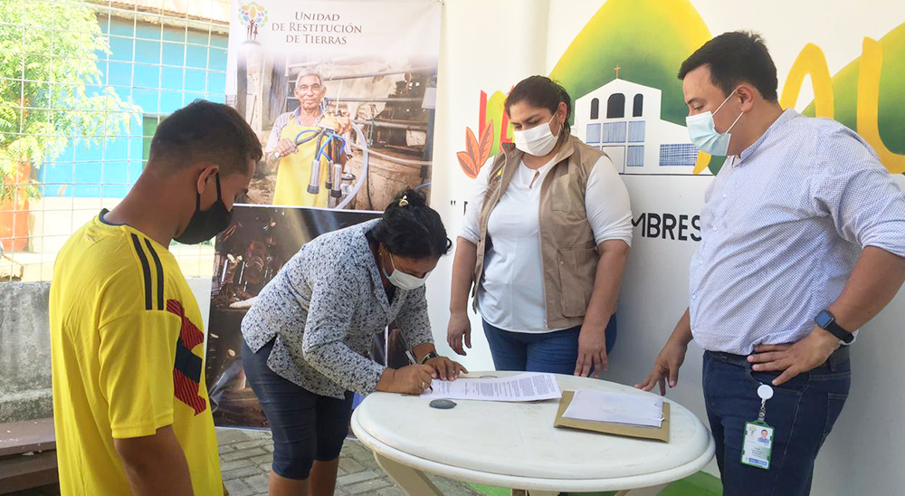Víctimas de San Jacinto, Bolívar, comercializan 100 toneladas de ñame que cultivan en predios restituidos 