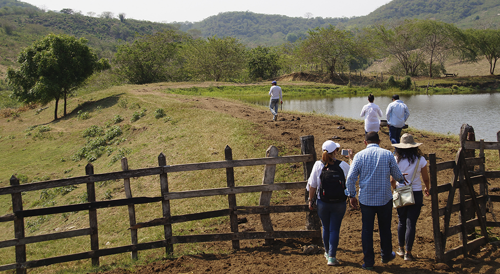 La Unidad de Restitución de Tierras abre convocatoria para comprar predios en San Jacinto y El Carmen de Bolívar 