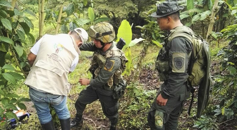 Estudio de Uniandes muestra que política de restitución de tierras redujo la violencia y mejora las condiciones de seguridad de los territorios 