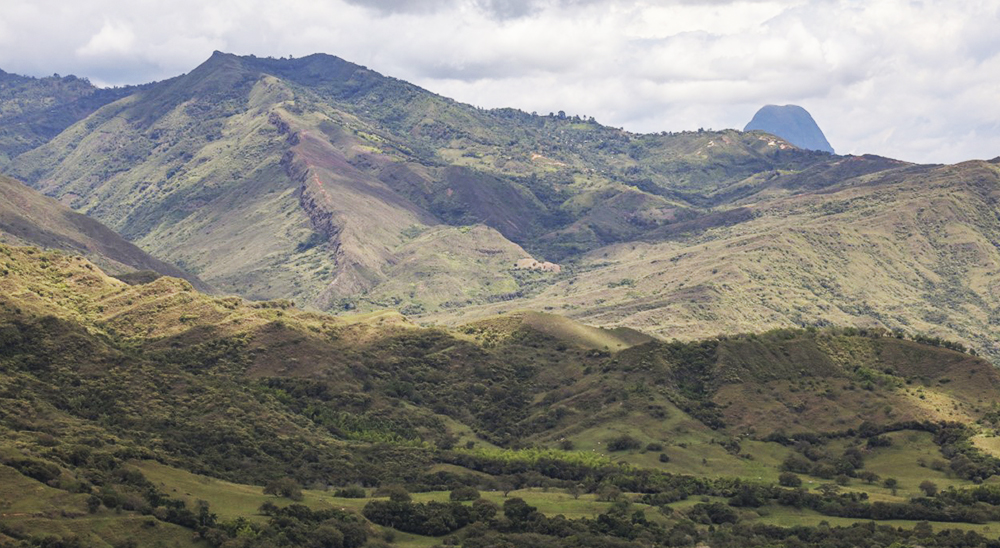 En Tolima se admite demanda que busca restablecer los derechos territoriales del Resguardo Indígena de Guadualito 