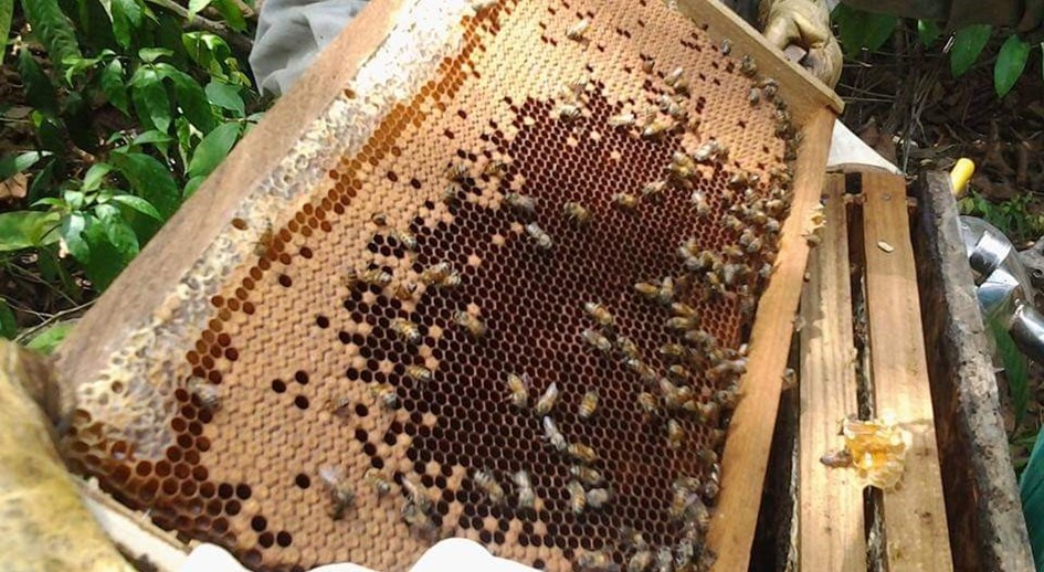 El secuestro, la muerte y el destierro: un recuerdo amargo que se endulza con la miel de una familia restituida en Cúcuta