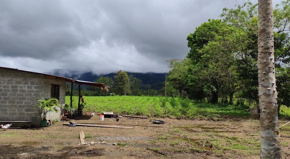 Mujer recupera predio y emprende proyecto productivo con el que espera cambiar la vida de su familia