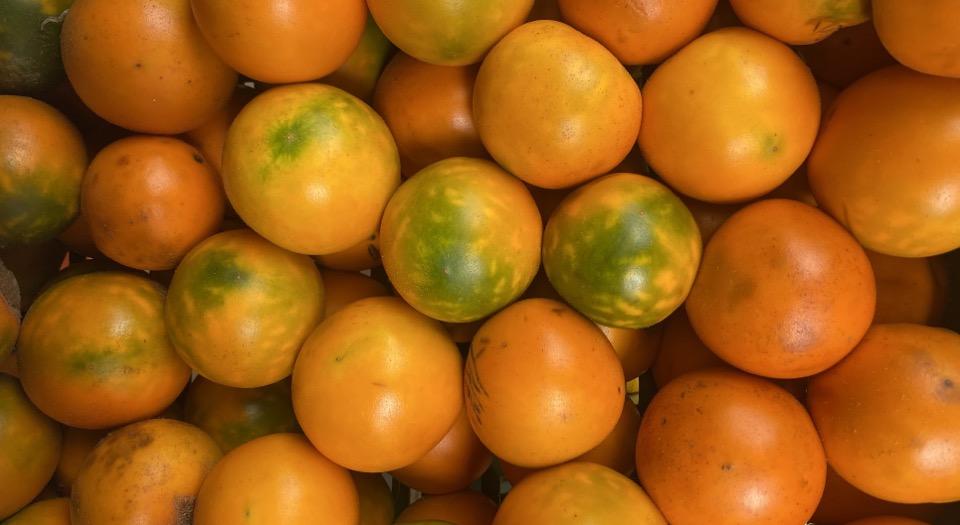 La URT presente en la feria “Mejor colombiano, más sabroso lo nuestro” 