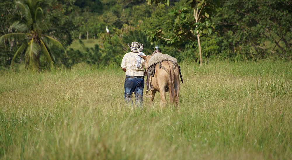 Unidad de Restitución de Tierras (URT) está revisando decisiones de no inscripción para acceder al proceso de restitución 