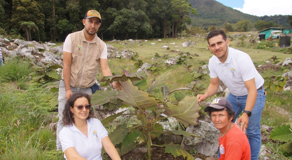 Beneficiarios de restitución en Chinácota, recibieron reembolsos económicos e insumos para fortalecer sus proyectos productivos
