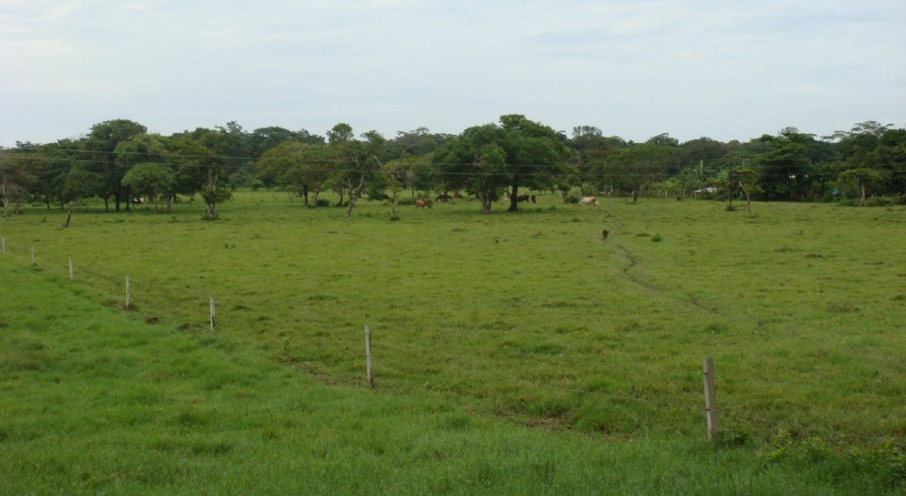 La Dirección Territorial Bogotá de la Unidad de Restitución de Tierras, informa a la comunidad de Cumaribo, Vichada