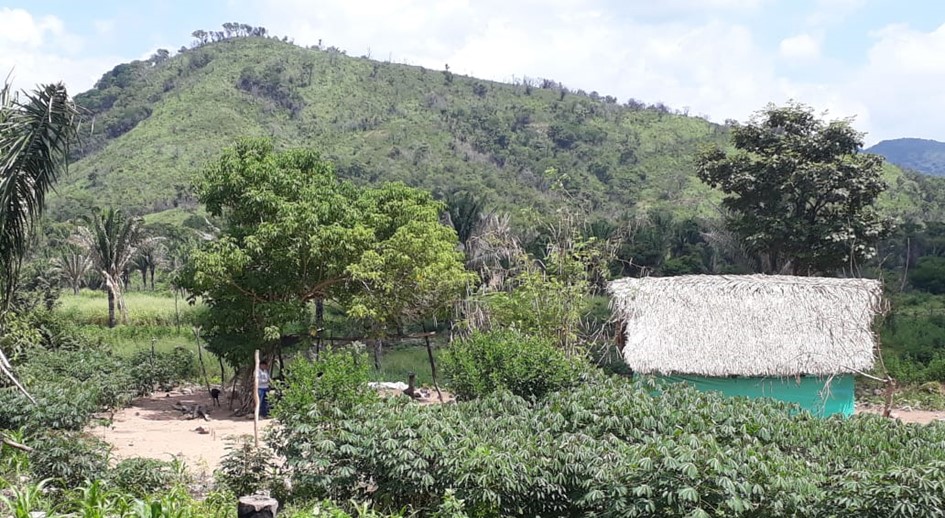 En La Guitarra, zona rural de Valledupar, avanzan cuatro procesos de restitución de tierras