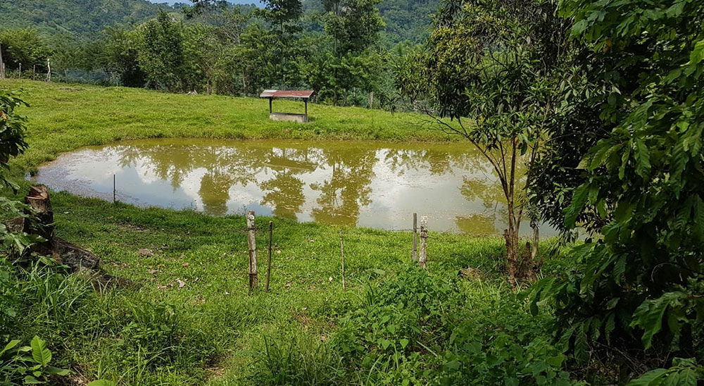 Víctimas de la violencia que fueron desplazadas de Sabana de Torres, serán compensadas por la Unidad de Restitución de Tierras (URT) 